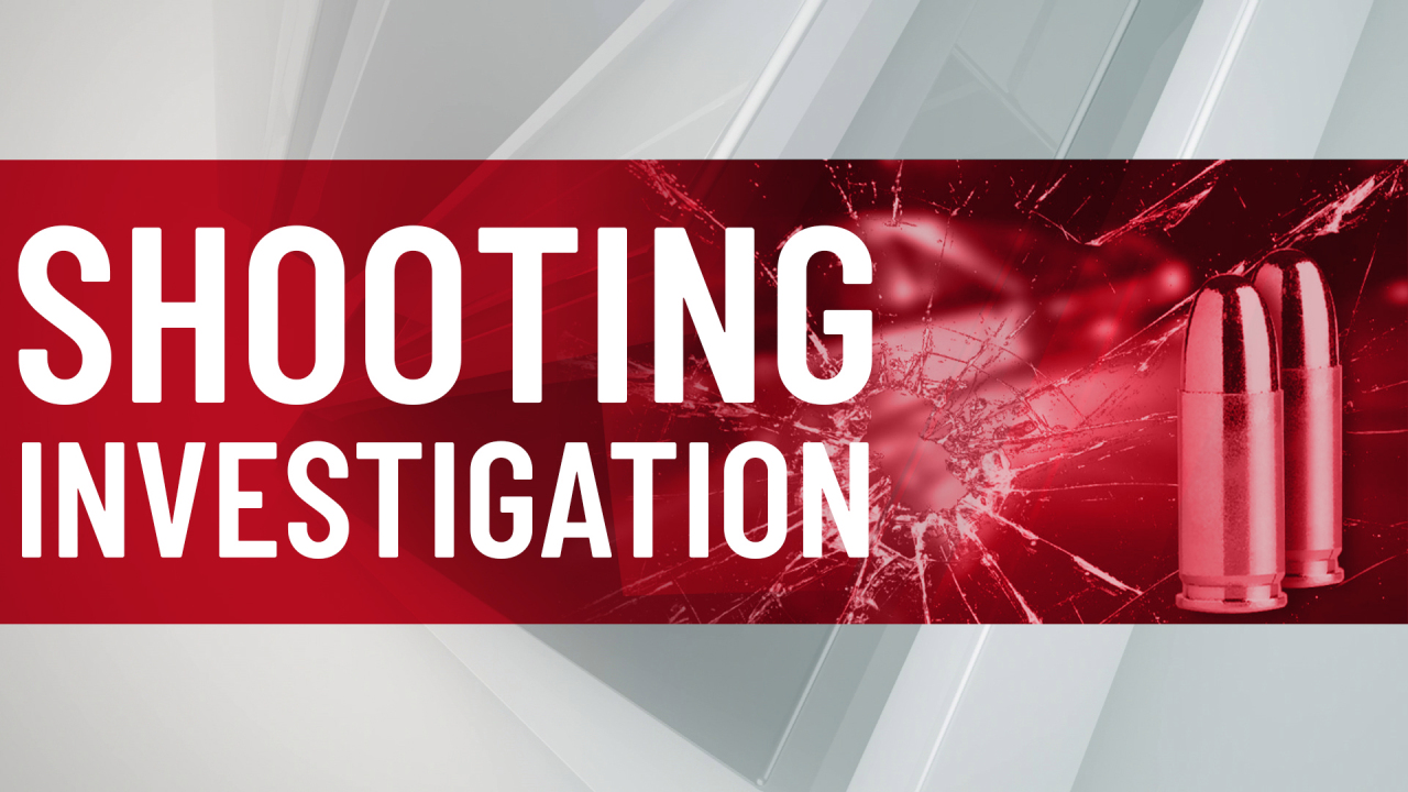 Zephyr Plaza shooting Zephyrhills Free Press