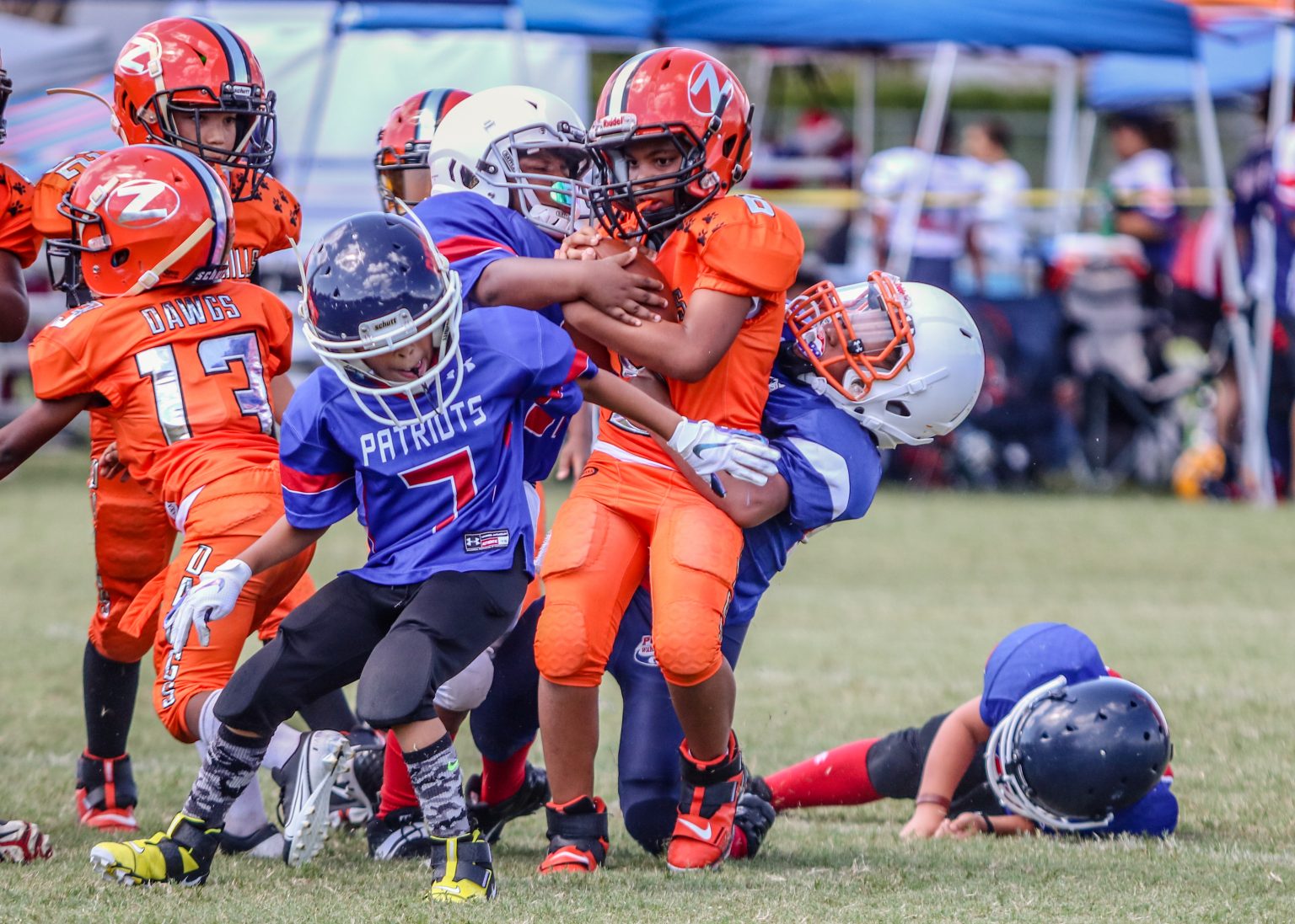 ZAL Sweep Zephyrhills Free Press