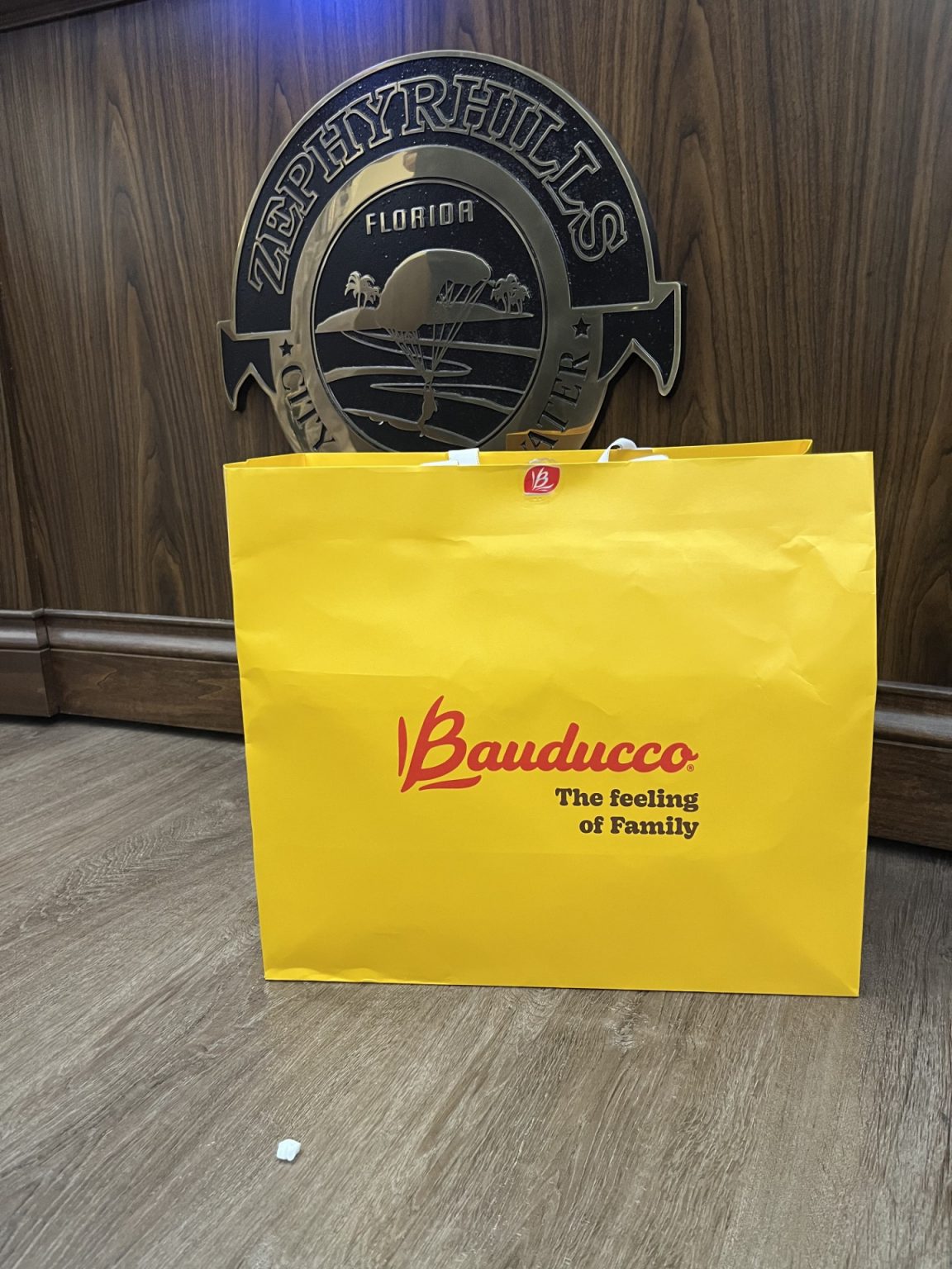 City approves incentive deal to bring 600 new jobs to city